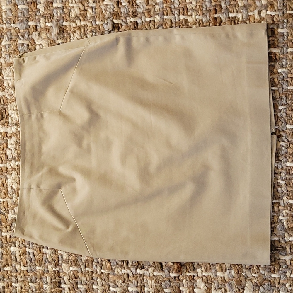 The Limited Pencil Skirt